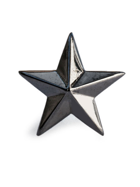 FLAT STAR EARRINGS (ブラック)