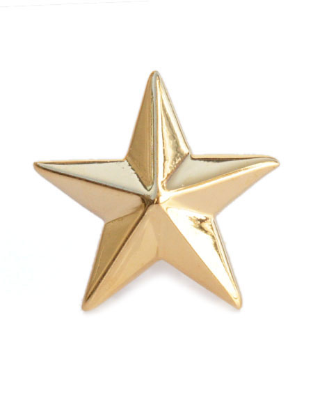 FLAT STAR EARRINGS (ゴールド)